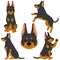 Simple and adorable flat colored illustrations of Doberman Pinscher