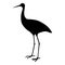 Simple and adorable flat colored Red-crowned crane illustration in silhouette