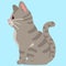 Simple and adorable Gray Tabby cat sitting in side view flat colored