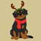 Simple and adorable illustration of Rottweiler in Christmas time