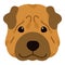 Simple and adorable illustration of Shar-Pei Dog front head flat colored