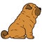 Simple and adorable illustration of Shar-Pei Dog sitting in side view