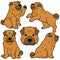 Simple and adorable illustrations of Shar-Pei Dog