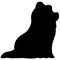 Simple and adorable Long Haired Yorkshire Terrier Silhouettte sitting in side view