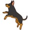 Simple and adorable outlined illustration of Doberman Pinscher jumping