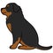 Simple and adorable Rottweiler dog illustration sitting in side view