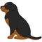 Simple and adorable Rottweiler dog illustration sitting in side view flat colored