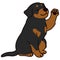 Simple and adorable Rottweiler dog illustration waving hand