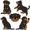 Simple and adorable Rottweiler dog illustrations
