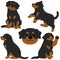 Simple and adorable Rottweiler dog illustrations flat colored