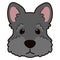 Simple and adorable Scottish Terrier illustration front head