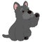 Simple and adorable Scottish Terrier illustration waving flat colored