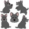 Simple and adorable Scottish Terrier illustrations flat colored