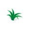 Simple aloe vera plant logo.