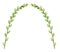 Simple Arch of Green Leaves on Branch