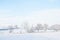 A simple background landscape with snow covered fields and distant trees half obscured by mist