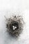 Simple Bird Nest With Eggs On A Gray Background