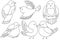 Simple birds coloring page outline