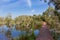 Simple boardwalk, wooden walkway across flooded forest. Wooden p