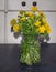 A simple bouquet of wildflowered yellow dandelions in a glass vase on a dark table