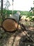 A simple bridge made of coconut tree trunks