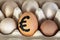 simple brown egg with a painted euro in an egg container. Economic crisis, rise in price. horizontal
