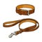 Simple brown leather pet, cat, dog buckle collar and leash