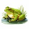 Simple Bullfrog Clip Art With White Margins And Background