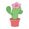Simple Cactus vector illustration, Colored linear style pictogram