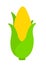 Simple Cartoon Corn Icon Clipart Vegetable Cute Animated PNG Graphic Illustration