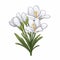 Simple Cartoon Style Illustration Of White Freesia Flowers