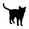 Simple cat silhouette for education