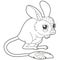 Simple children's coloring book cute desert animal character jerboa