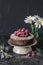 Simple chocolate sponge cake with raspberries on a dark background