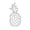 Simple coloring page. The pineapple to be colored. Coloring book to educate kids