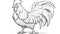 Simple coloring pages for children, rooster