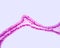 Simple columnar epithelium. Golgi apparatus