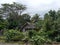 Simple cottage in a jungle