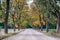 Simple Country Gravel Road in Autumn at Countryside Forest with Oak Trees