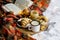 Simple country home breakfast in bed, coffee with milk and homemade pastry on plaid blanket