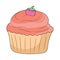 Simple Cupcake outline vector illustration, colored linear style
