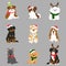 Simple and cute Christmas illustrations with adorable dogs