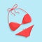 Simple Cute Illustration of Two Piece Bikini