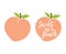 Simple Cute Peach with Leaves Vector Illustration