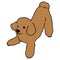 Simple and cute playful brown Poodle illustration