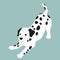 Simple and cute playful Dalmatian dog illustration flat colored