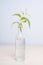 Simple decoration: miniature old liquor bottle repurposed as a vase