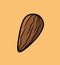 Simple delicious almond nut illustration.