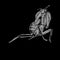 Simple design of illustration Praying mantis