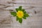 Simple design, yellow dandelion flower raspberry, the concept of ecology